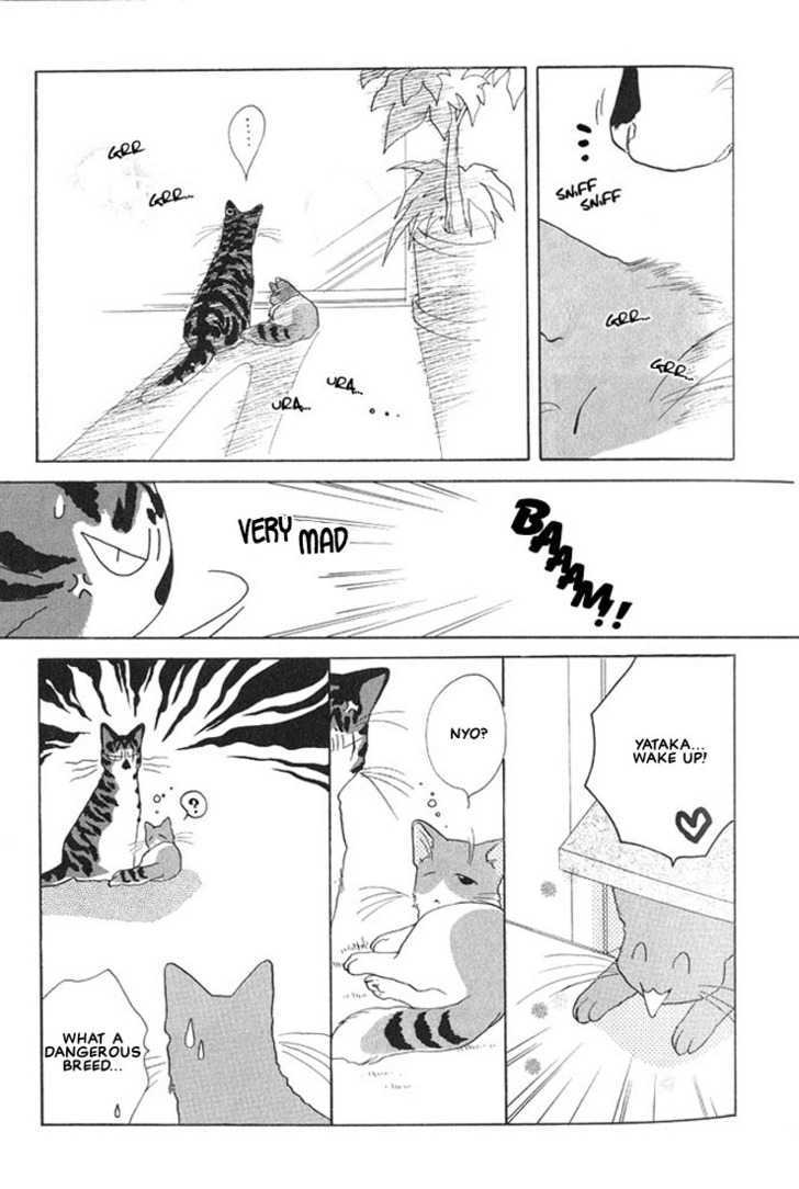 Shippo No Kimochi Chapter 3 #4