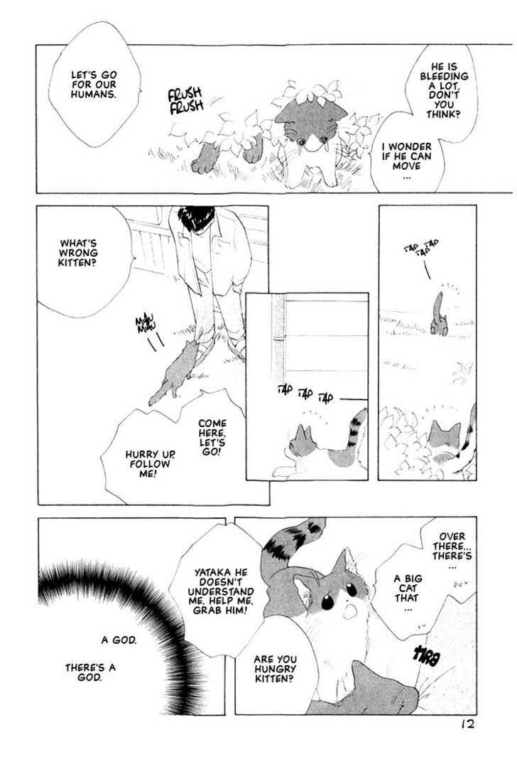 Shippo No Kimochi Chapter 1 #8