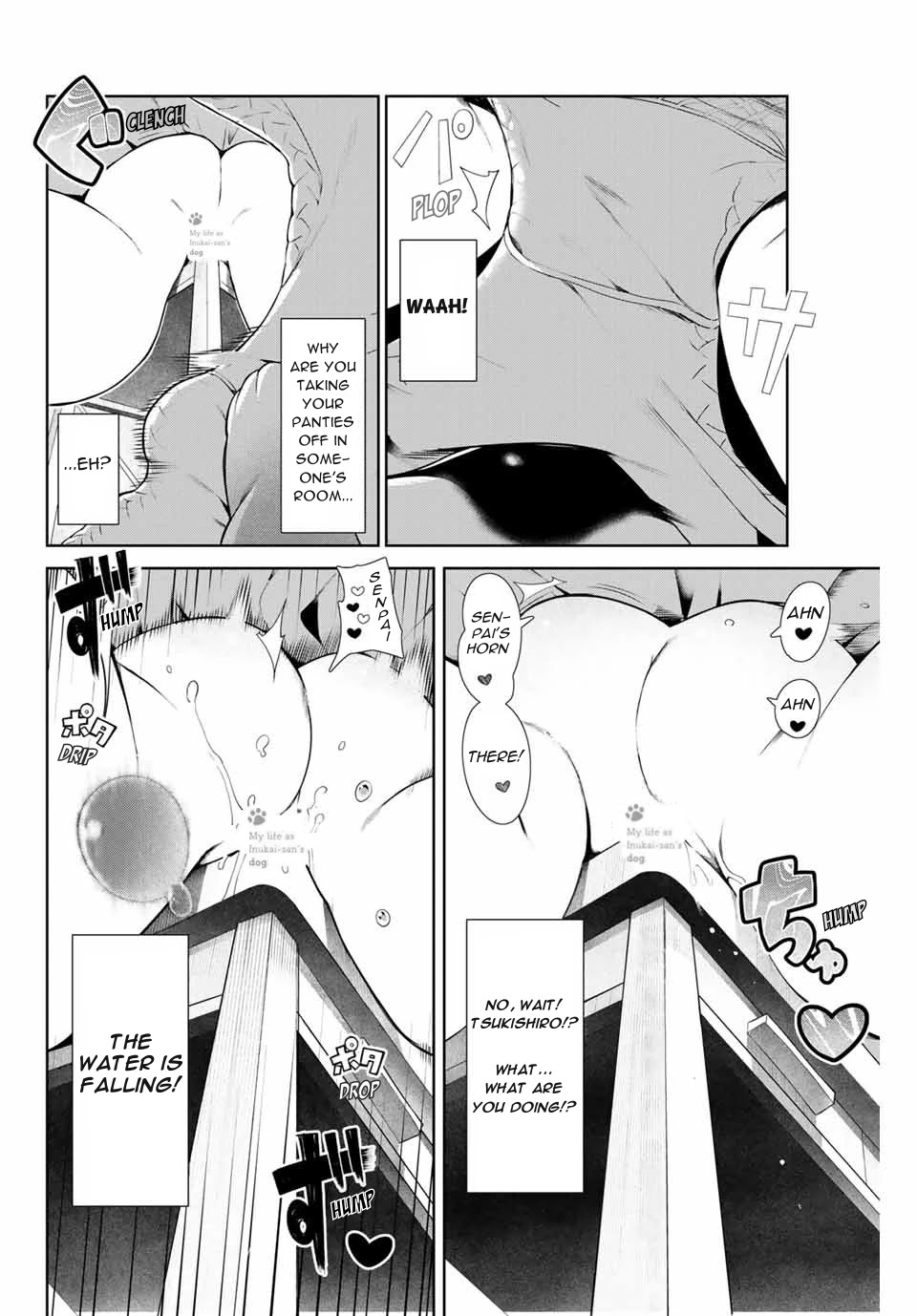 Inu Ni Nattara Suki Na Hito Ni Hirowareta Chapter 8 #8