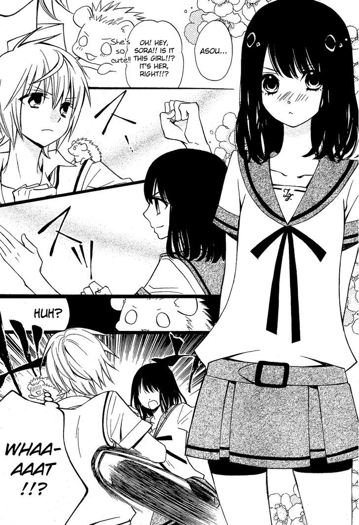 Hatsukoi Harinezumi Chapter 1 #16