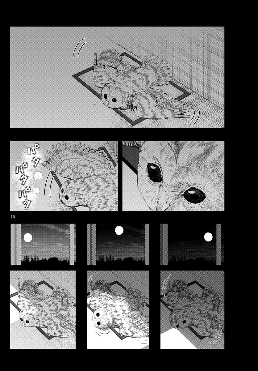 Last Karte - Houjuuigakusha Touma Kenshou No Kioku Chapter 4 #10