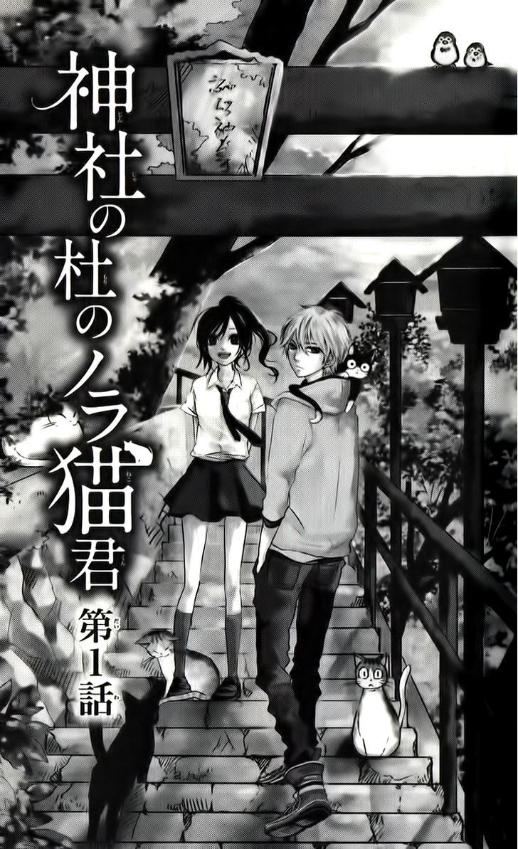 Jinja No Mori No Nora Neko-Kun Chapter 1 #4