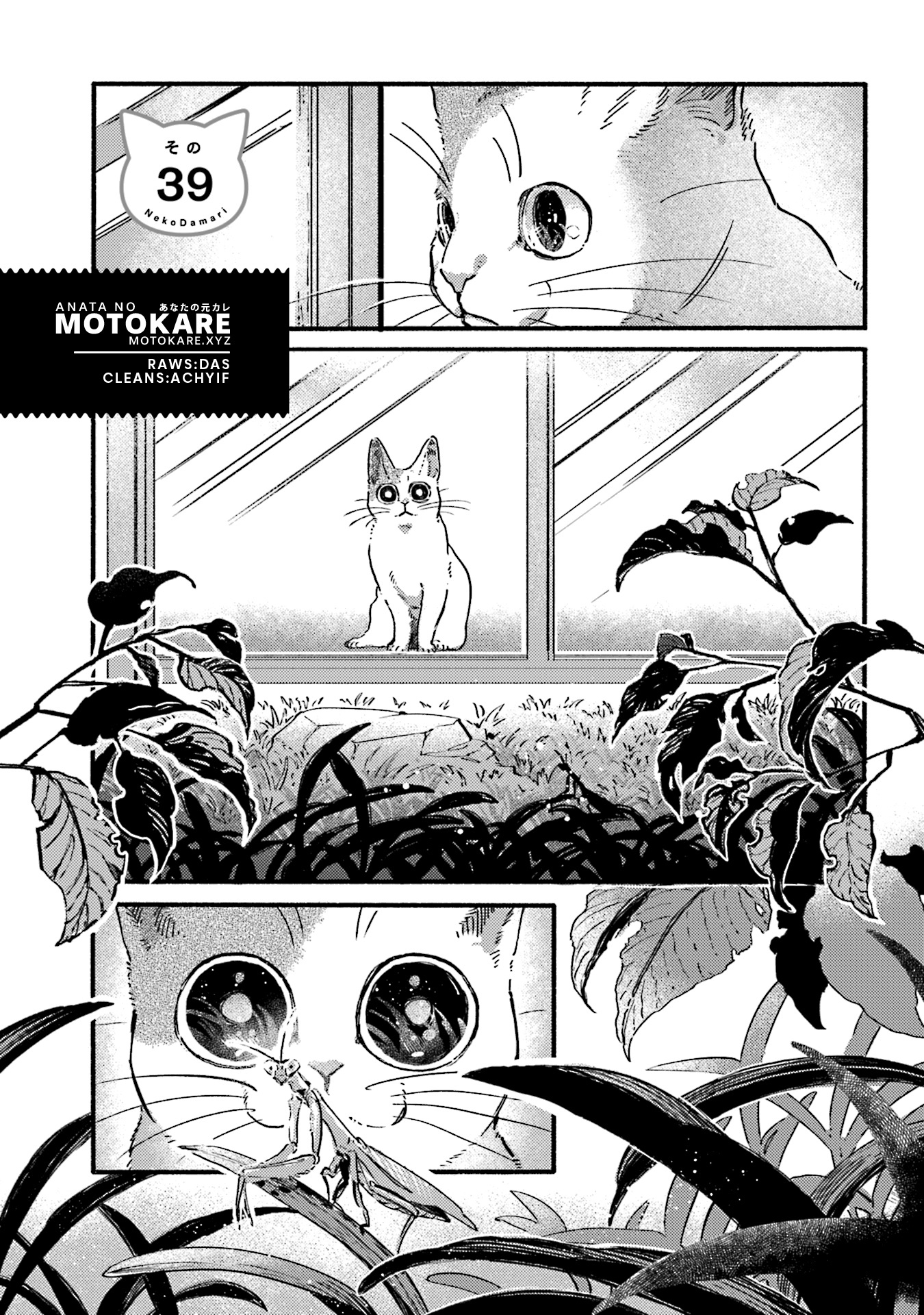 Nekodamari Chapter 39 #1