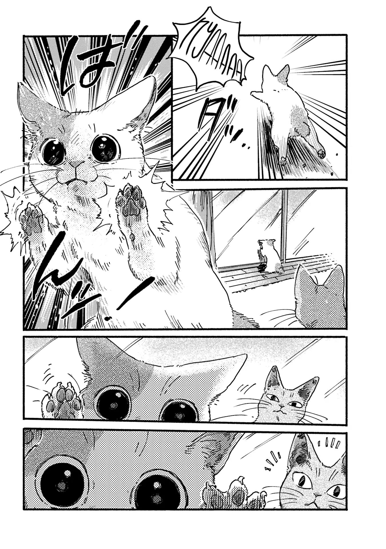 Nekodamari Chapter 6 #2