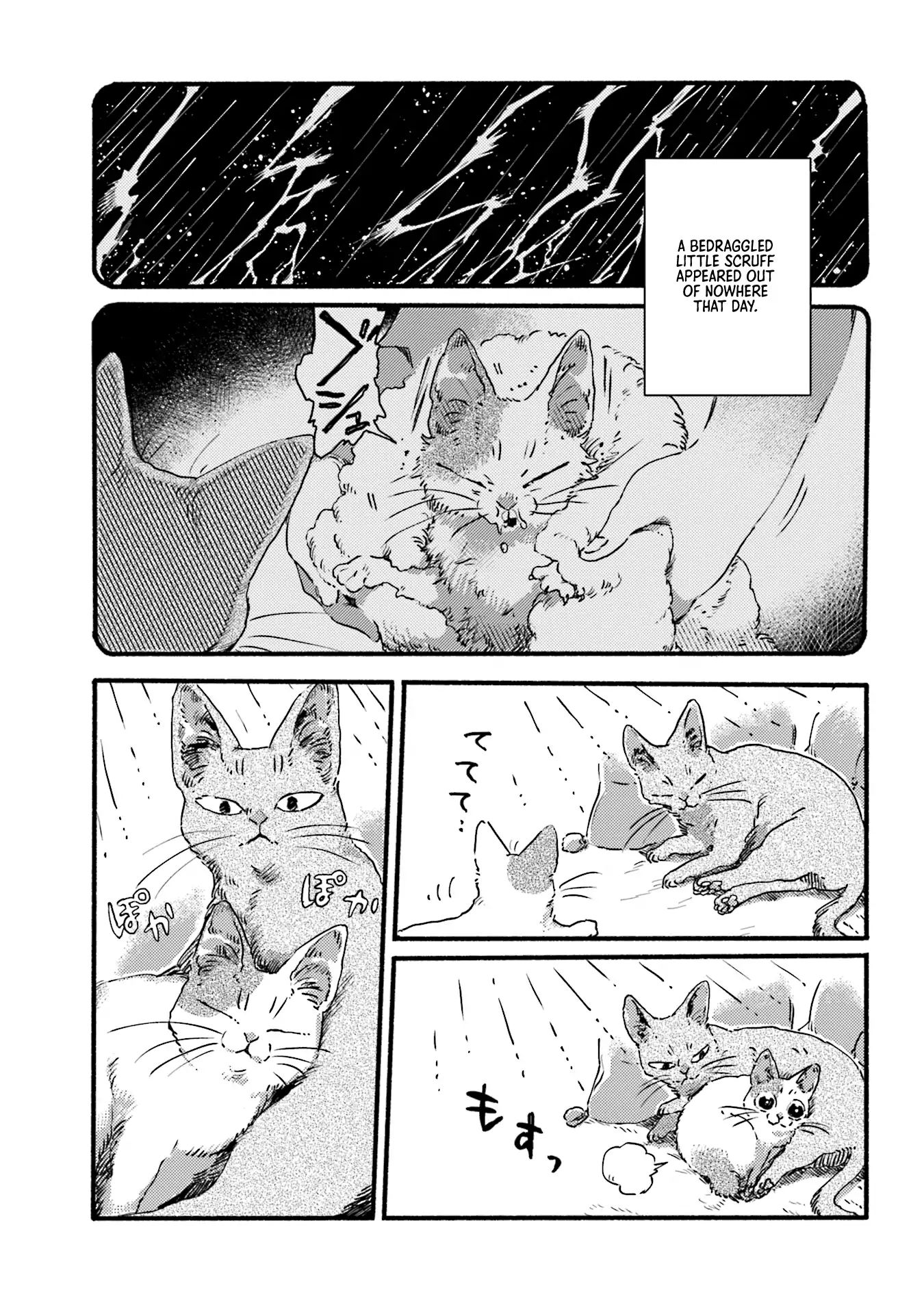 Nekodamari Chapter 3 #5