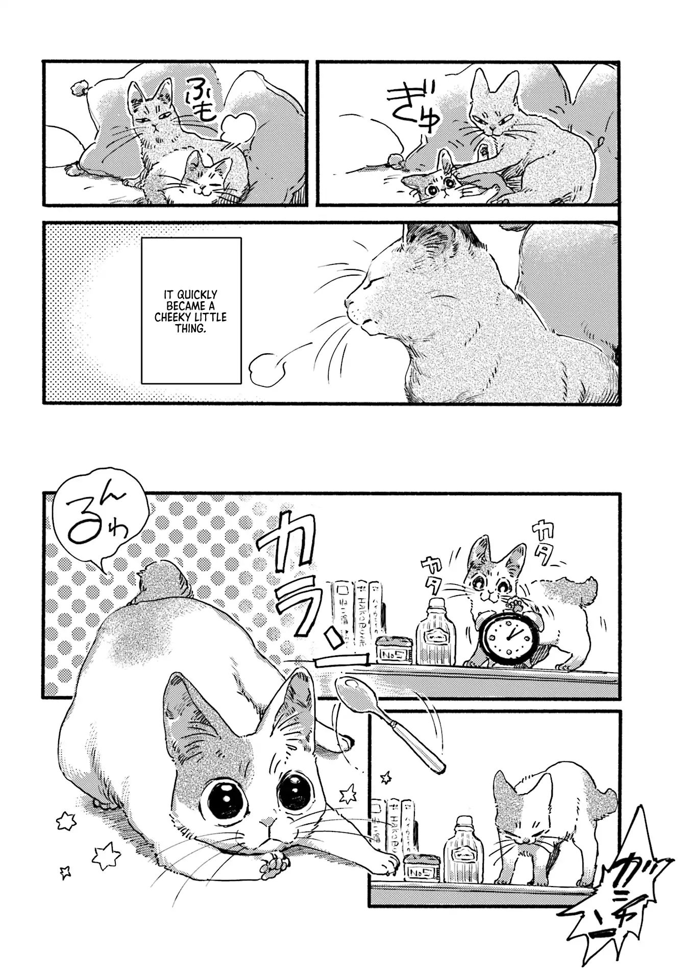 Nekodamari Chapter 3 #6