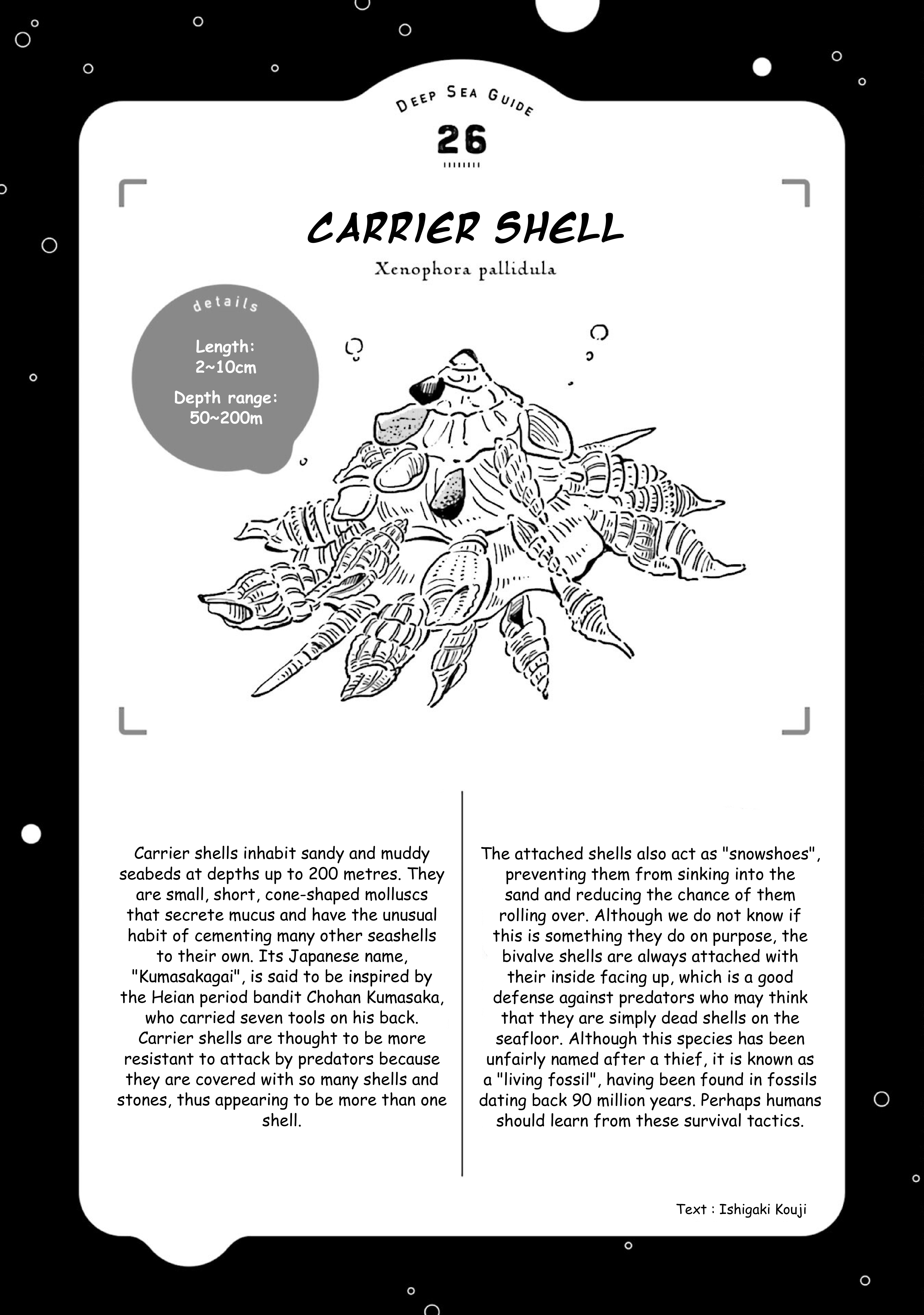 Deep Sea Aquarium Magmell Chapter 31 #31