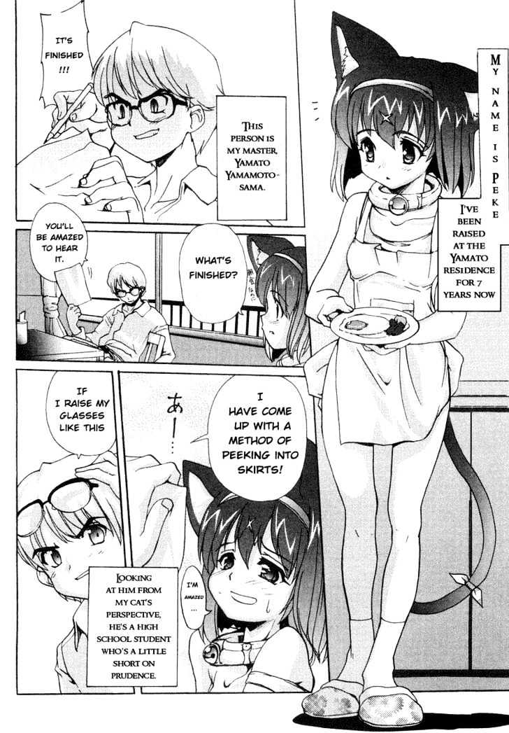 Mahou Shoujo Neko X Chapter 1 #12