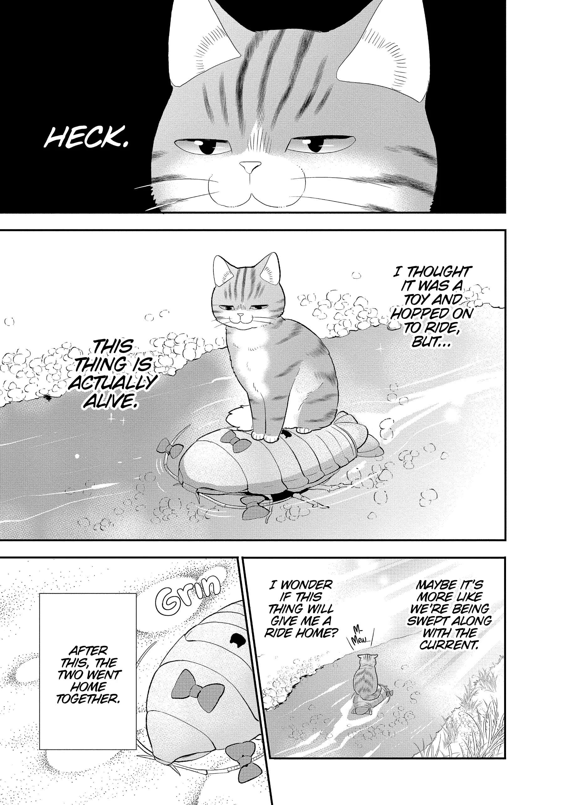 My New Life As A Cat Chapter 25.5 #5