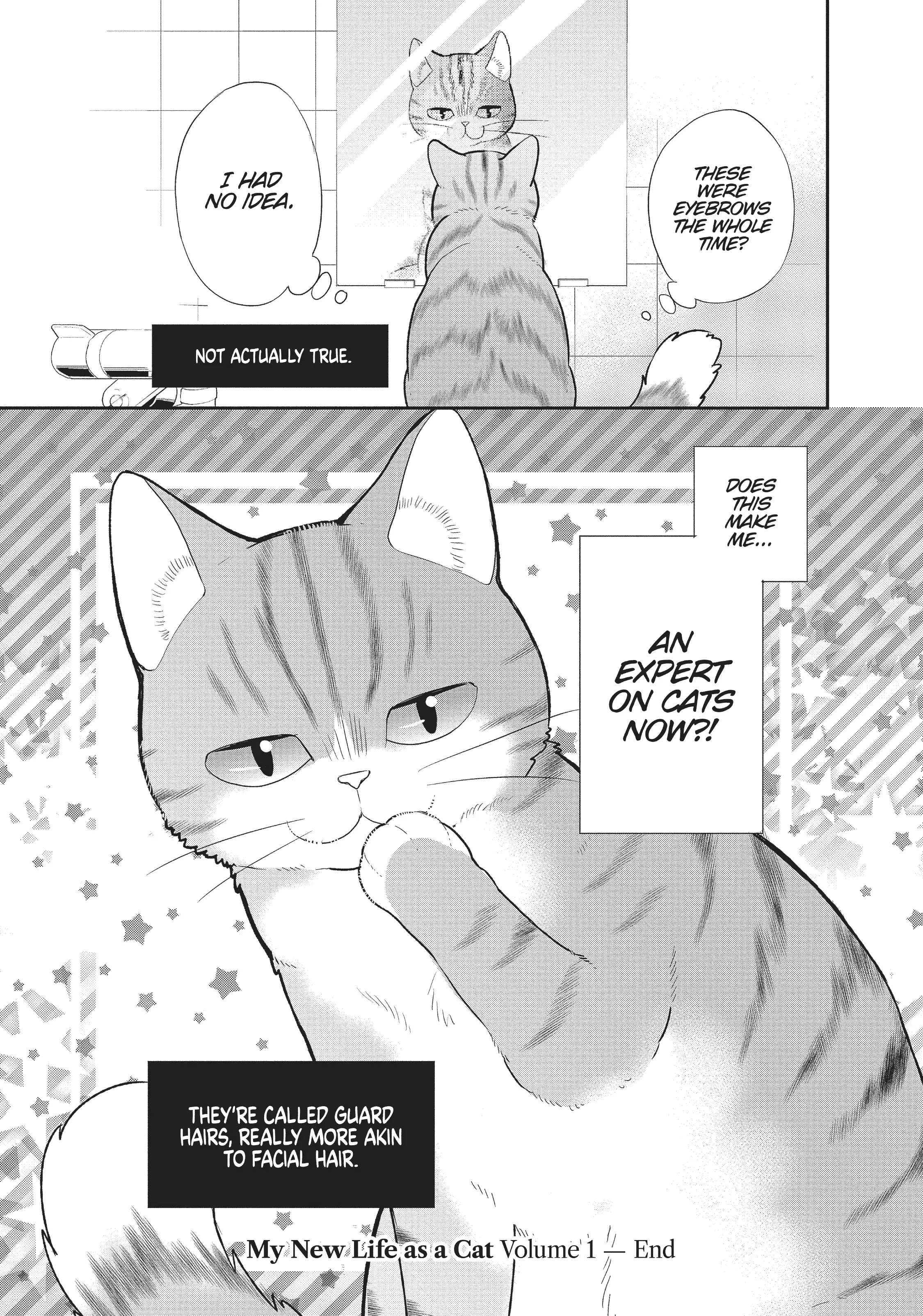 My New Life As A Cat Chapter 10 #15