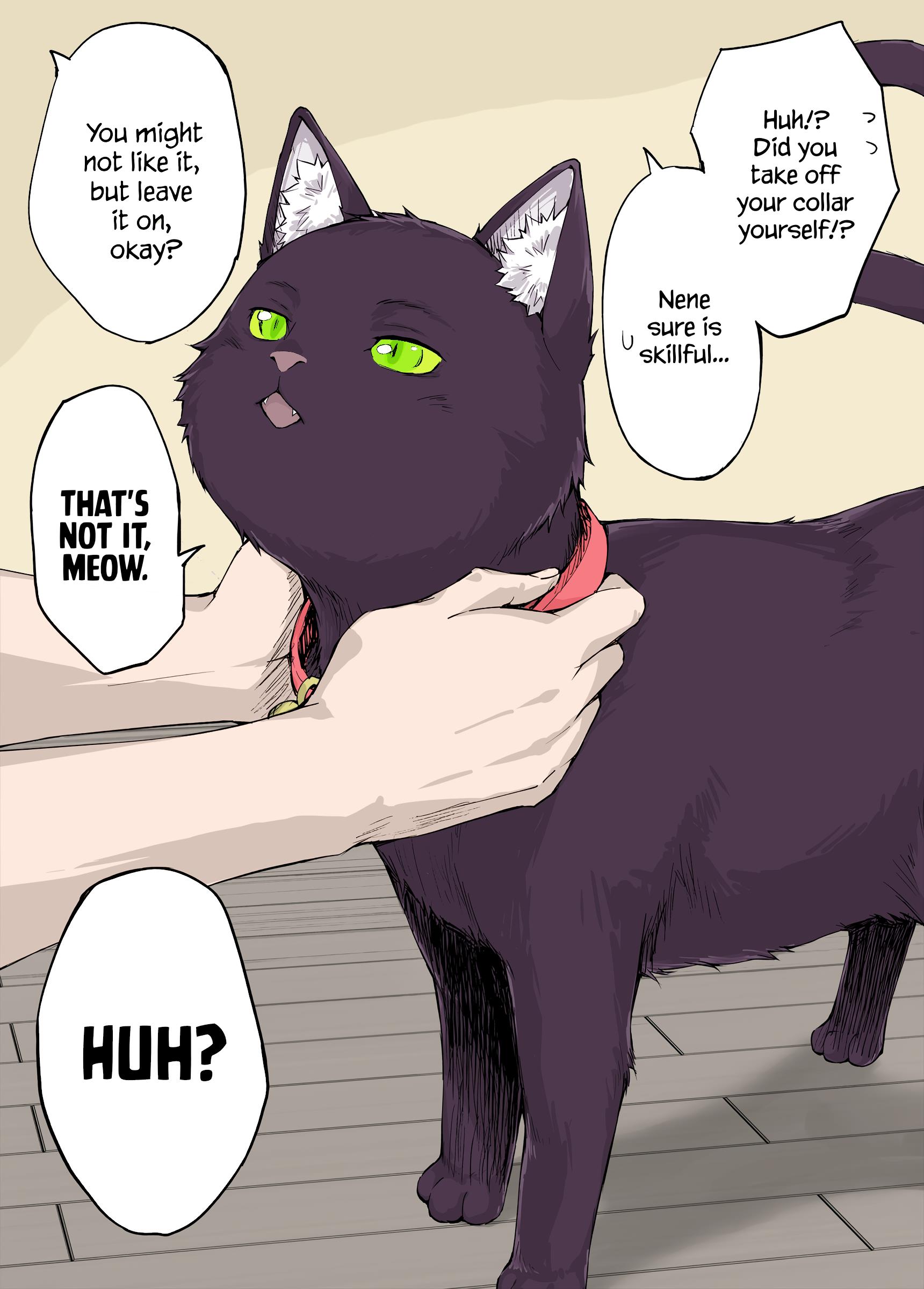 The Yandere Pet Cat Is Overly Domineering (Fan Colored) Chapter 12 #1
