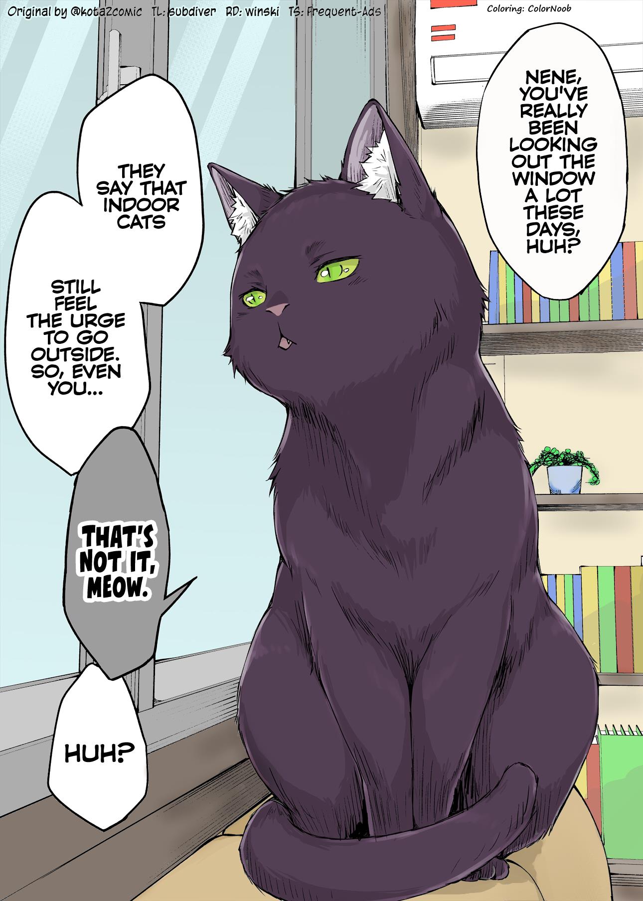The Yandere Pet Cat Is Overly Domineering (Fan Colored) Chapter 11 #1