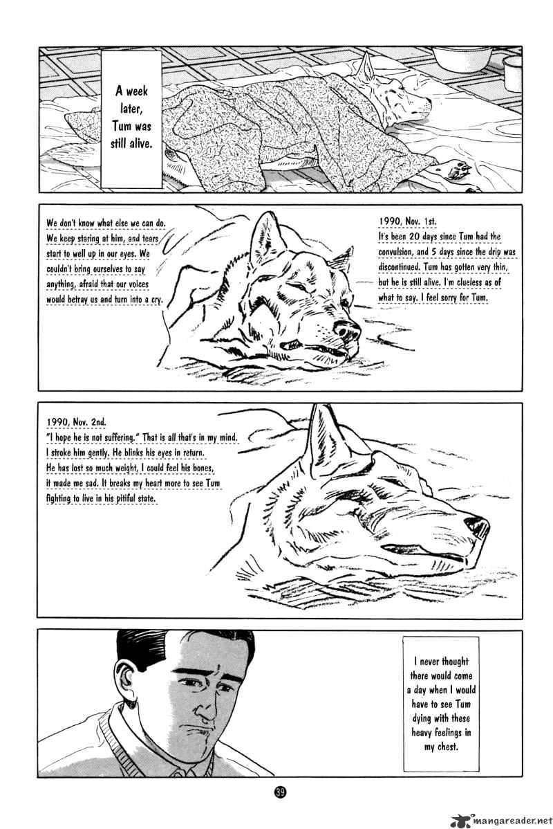 Inu O Kau Chapter 1 #42