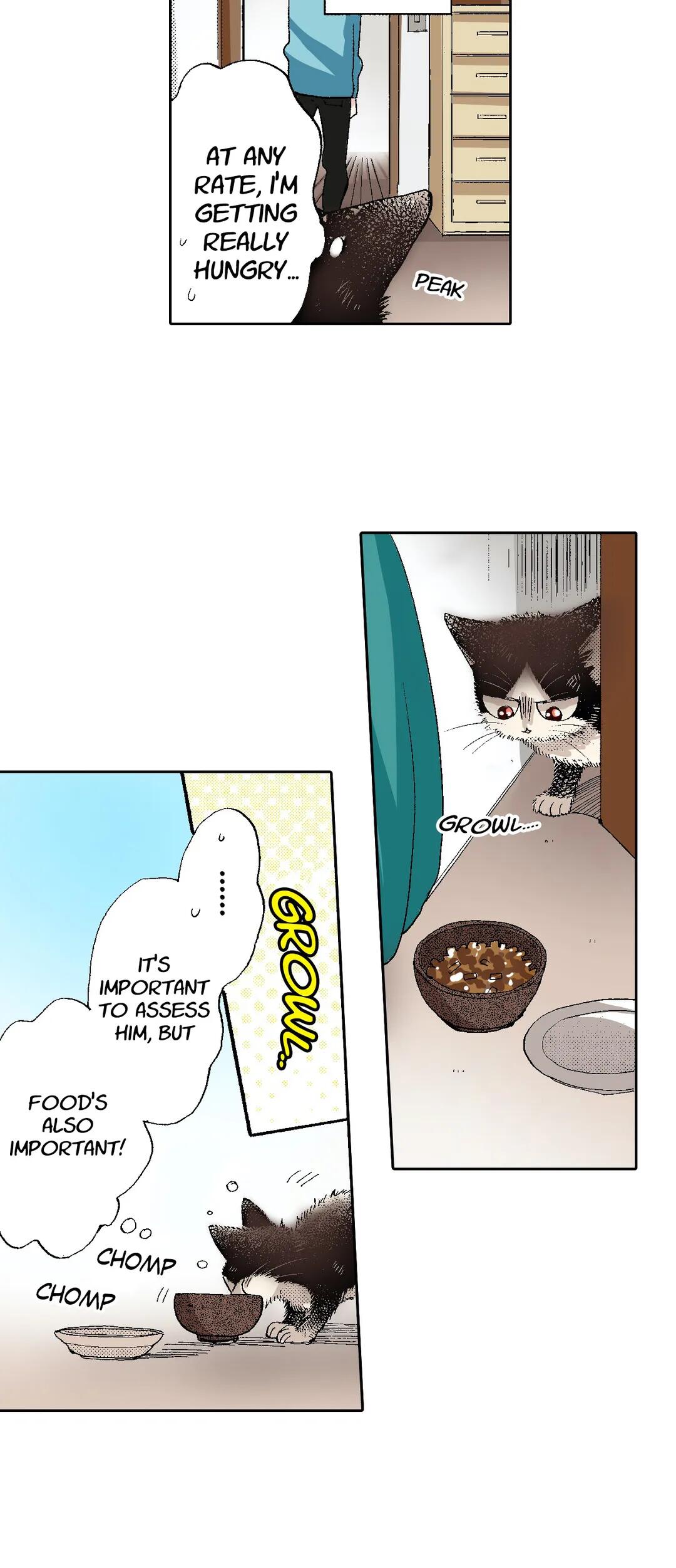 My Roommate Is A Cat Chapter 53 #11