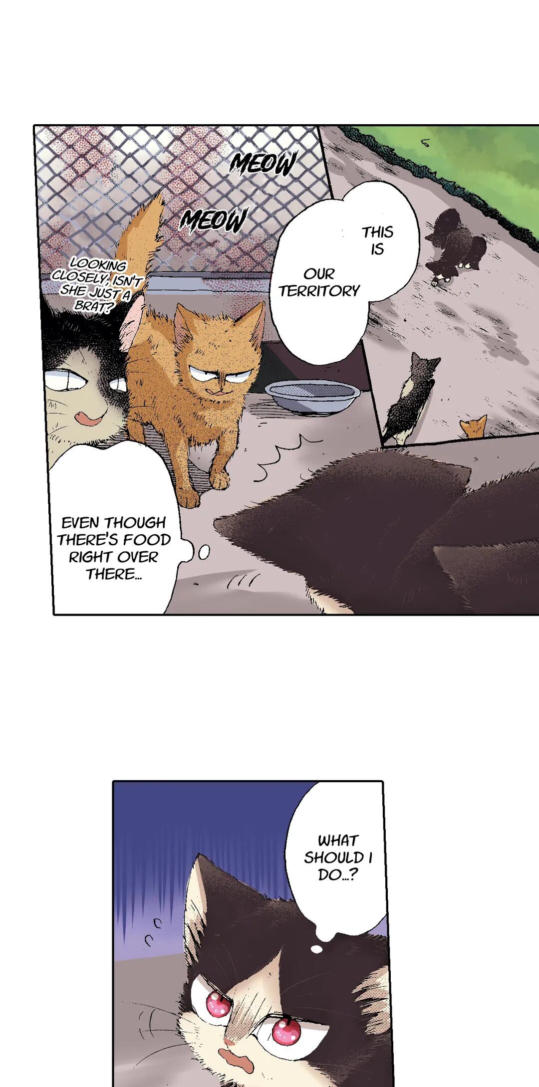 My Roommate Is A Cat Chapter 51 #2