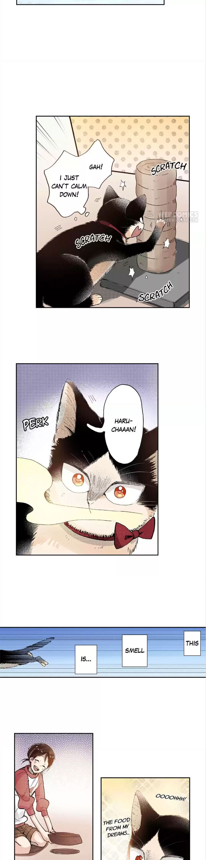 My Roommate Is A Cat Chapter 43 #8