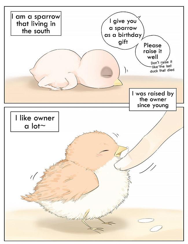 Southern Bird And Northern Bird Chapter 10 #1