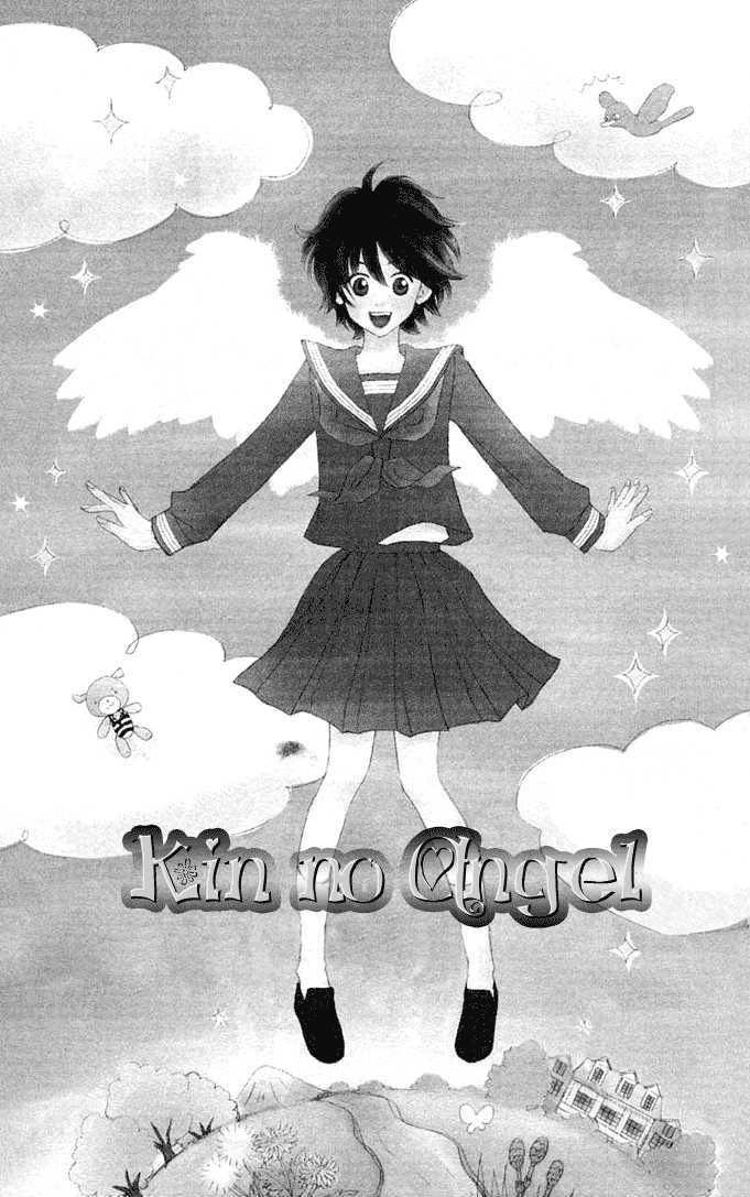 Kin No Angel Chapter 2 #3