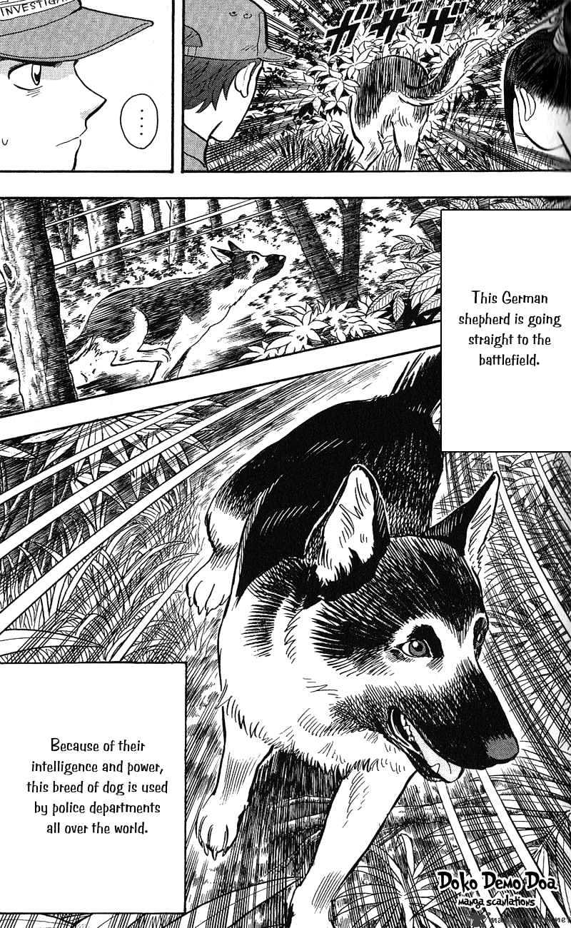 Animal Sense Chapter 12 #20