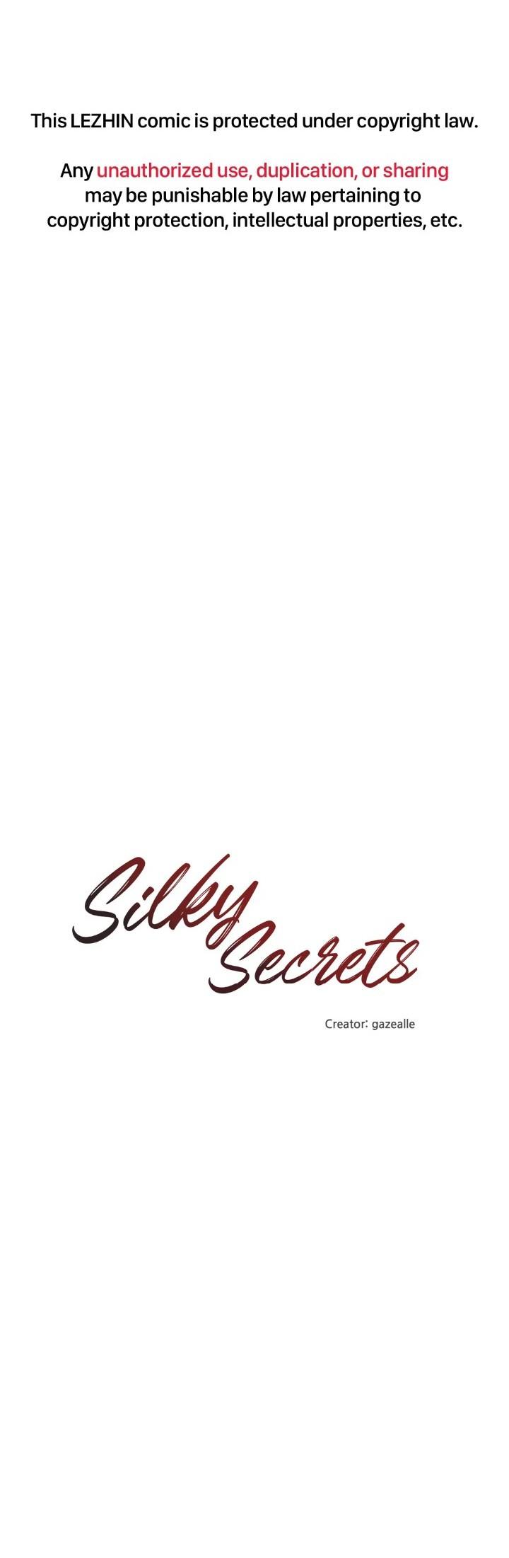 Silky Secrets Chapter 19 #1