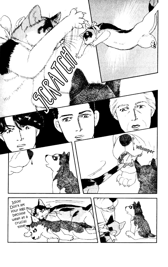 Doubutsu No Oishasan Chapter 26 #16