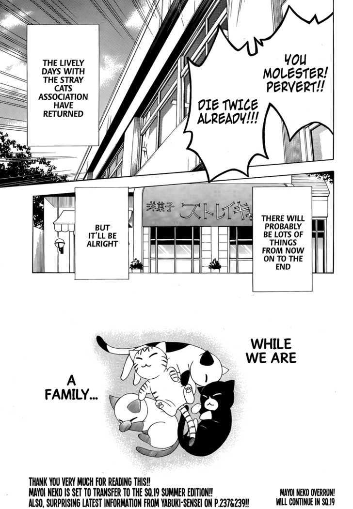 Mayoi Neko Overrun! Chapter 8 #46