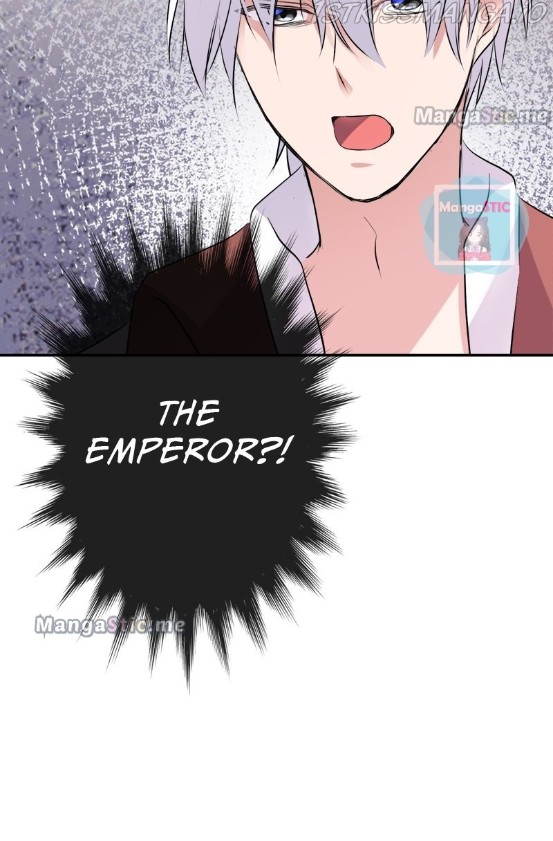 Revenge Of The Twin Empress Chapter 12 #58