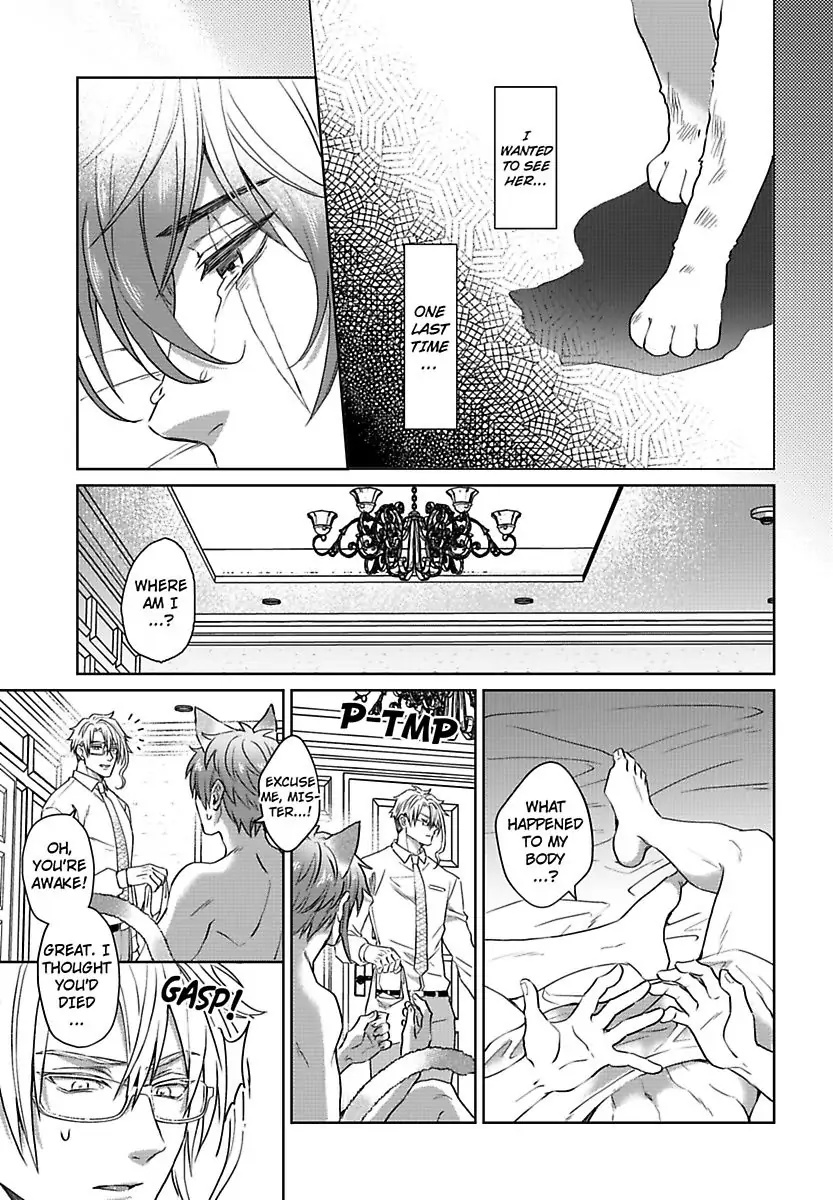 Mofumofu Bakashiai Nikki Chapter 3 #20