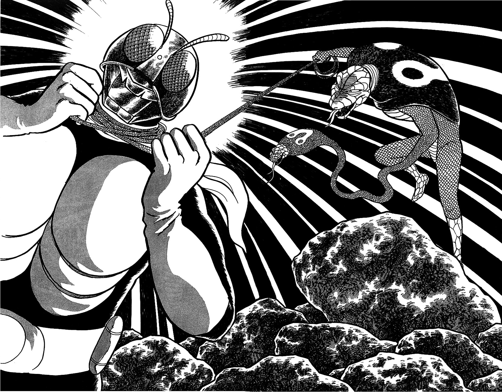 Kamen Rider Chapter 2 #43