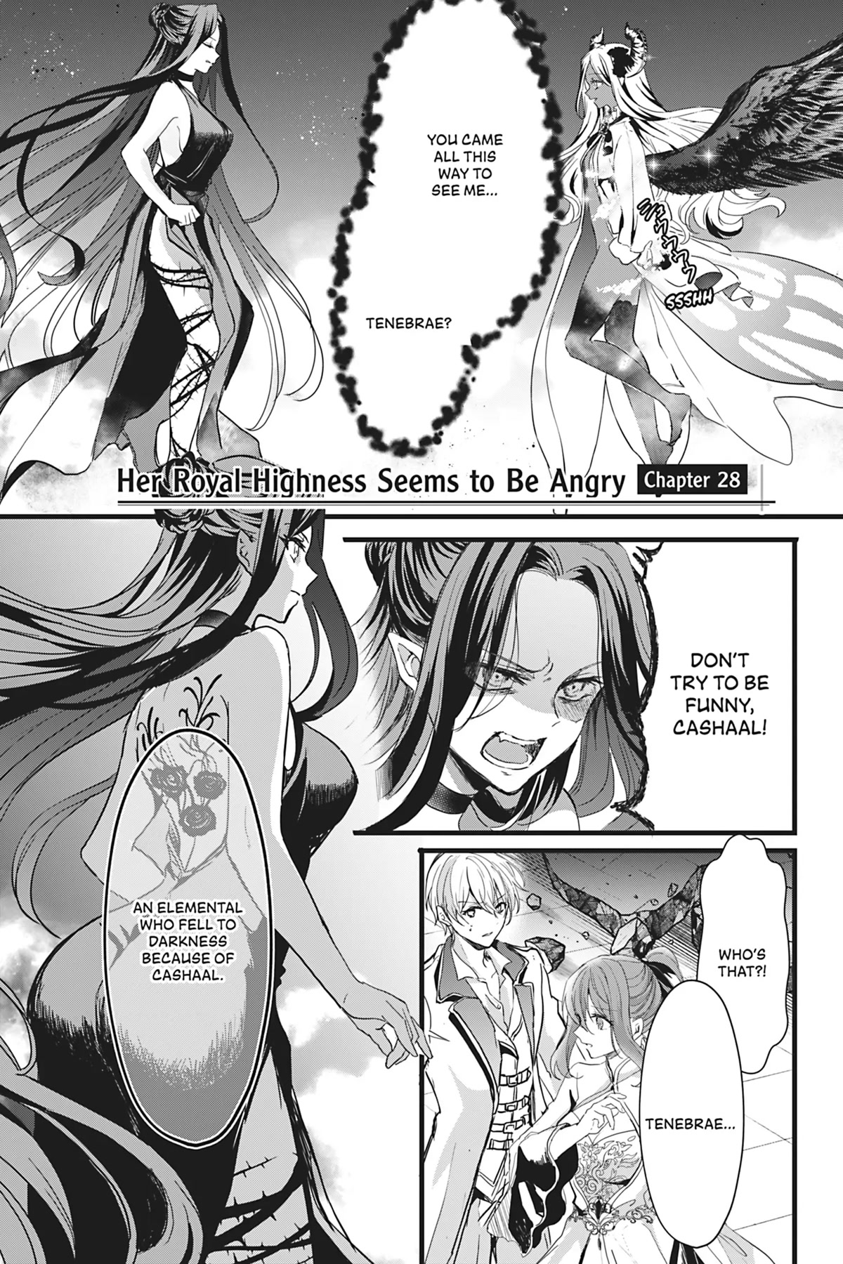 Her Royal Highness Seems To Be Angry Chapter 28 #1