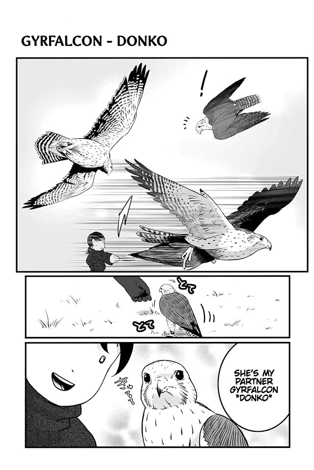 Hawk Master, It's Hunting Time! Chapter 4 #2