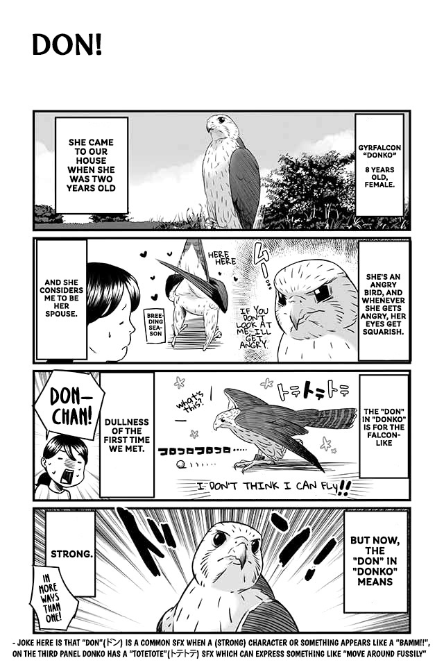 Hawk Master, It's Hunting Time! Chapter 4 #10