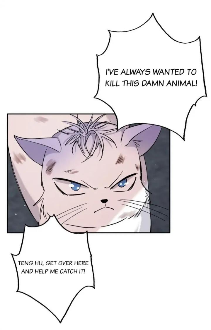 I Have To Work Hard As A Cat Today Chapter 48 #3
