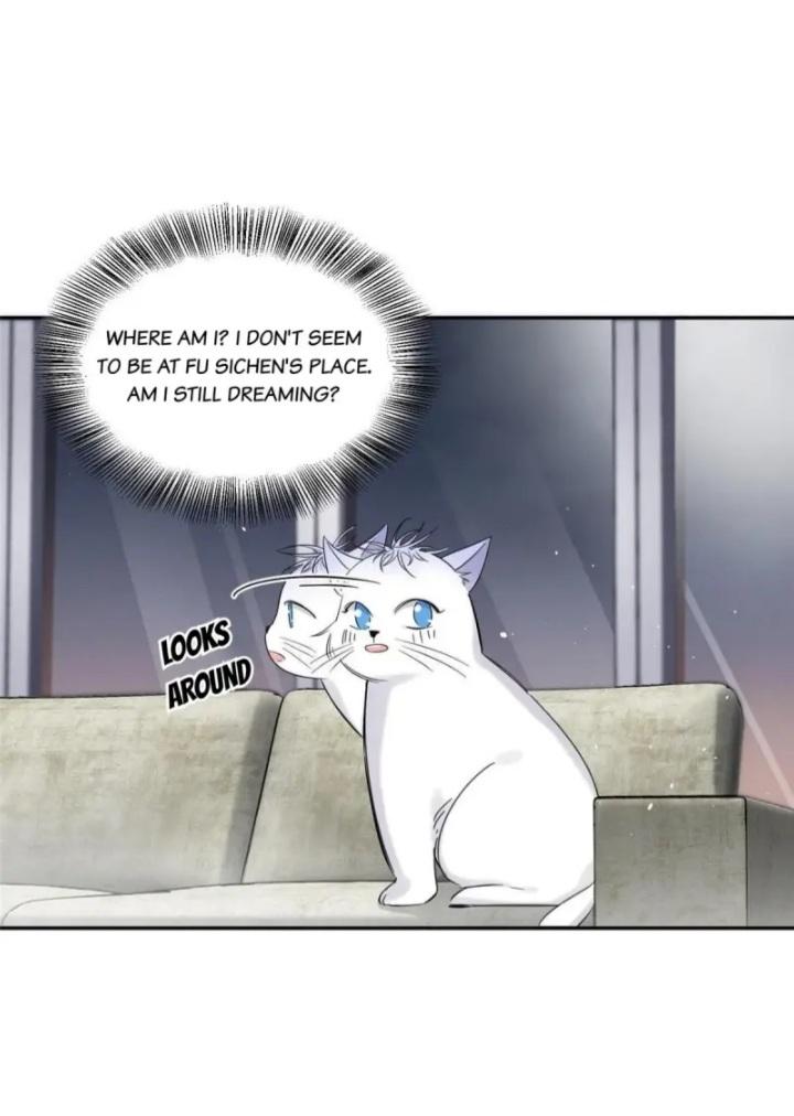 I Have To Work Hard As A Cat Today Chapter 37 #6