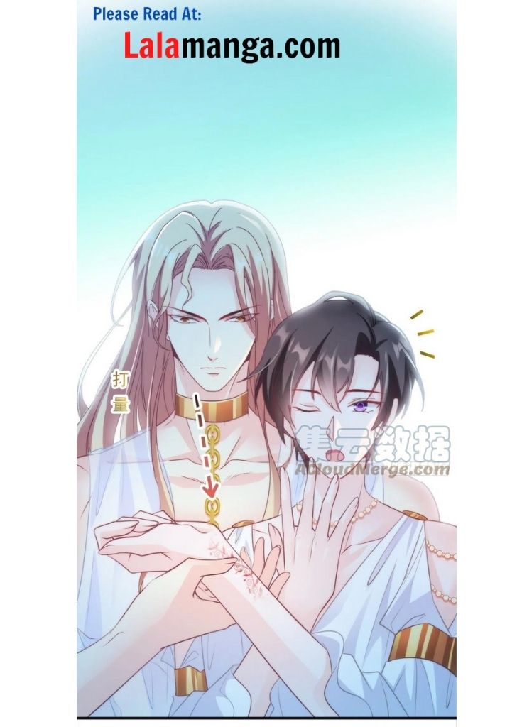 Devil's Bride Chapter 80 #16