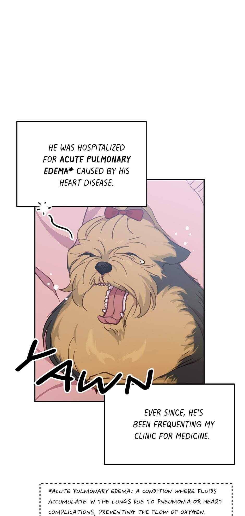 The Legendary Beasts Animal Hospital Chapter 17 #11