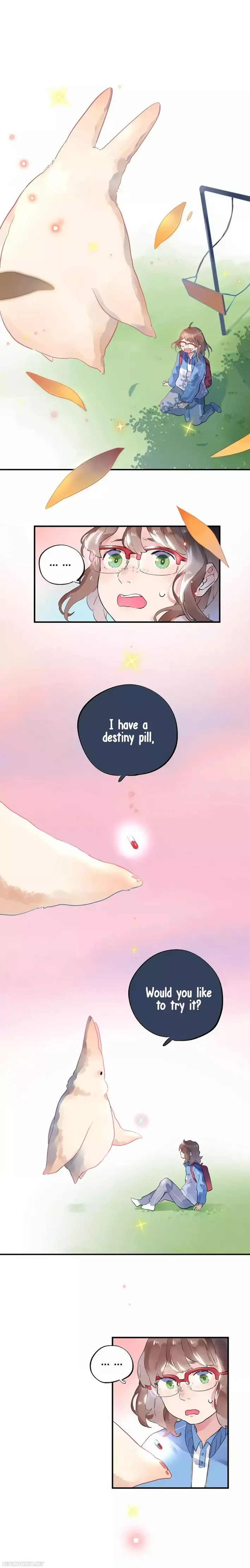 Dolo's Destiny Pill Chapter 2 #2