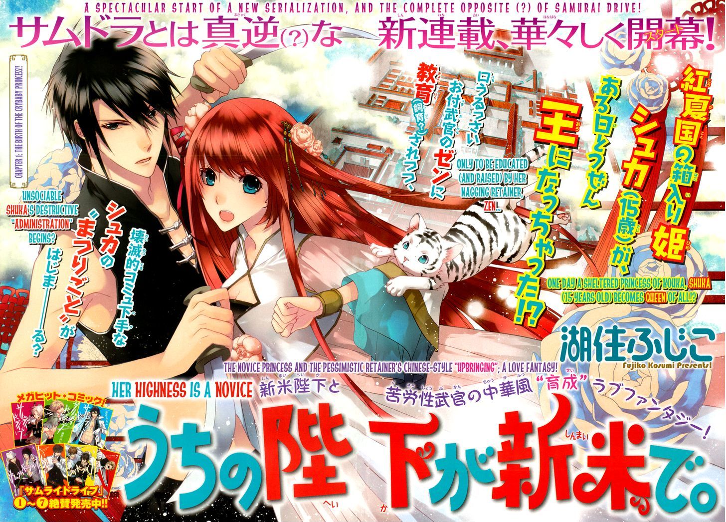 Uchi No Heika Ga Shinmai De Chapter 1 #3