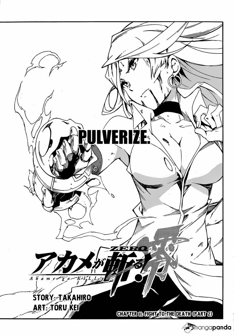 Akame Ga Kiru! Zero Chapter 11 #2