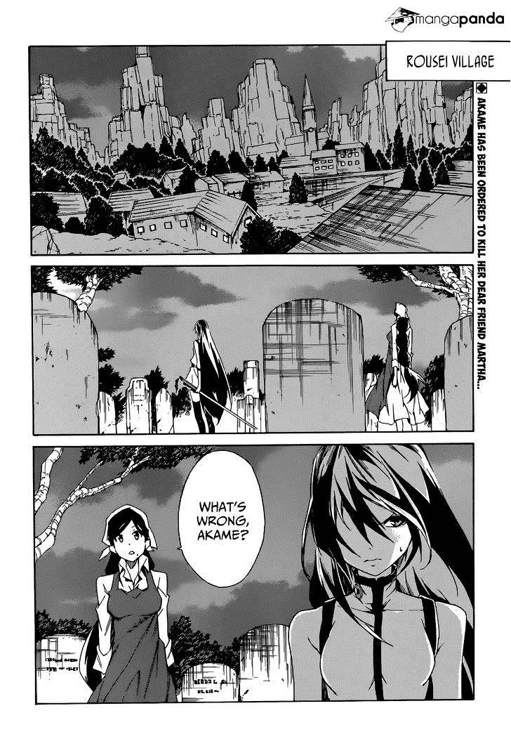 Akame Ga Kiru! Zero Chapter 4.2 #3