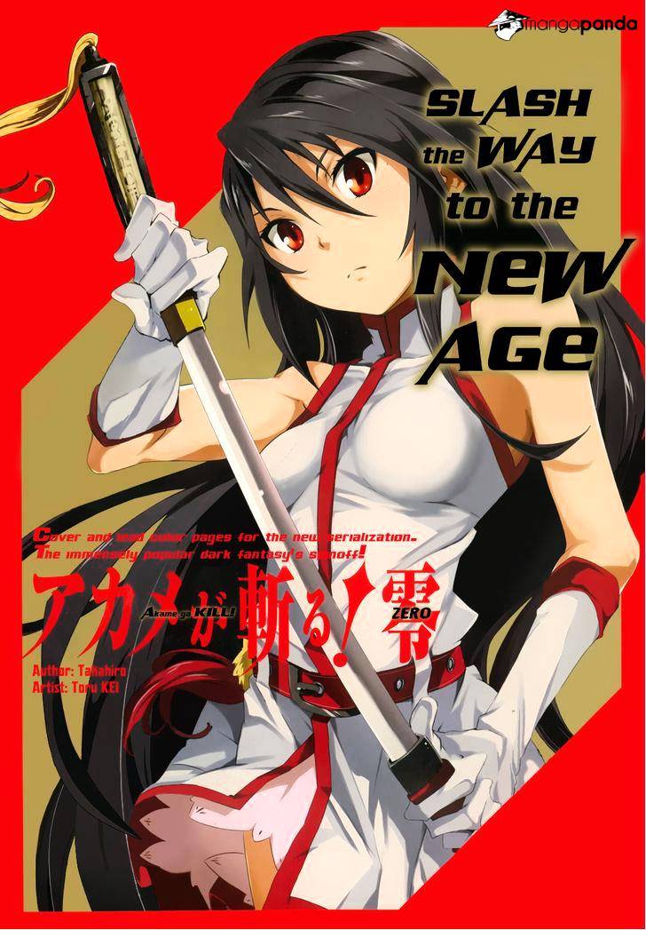 Akame Ga Kiru! Zero Chapter 1.2 #2