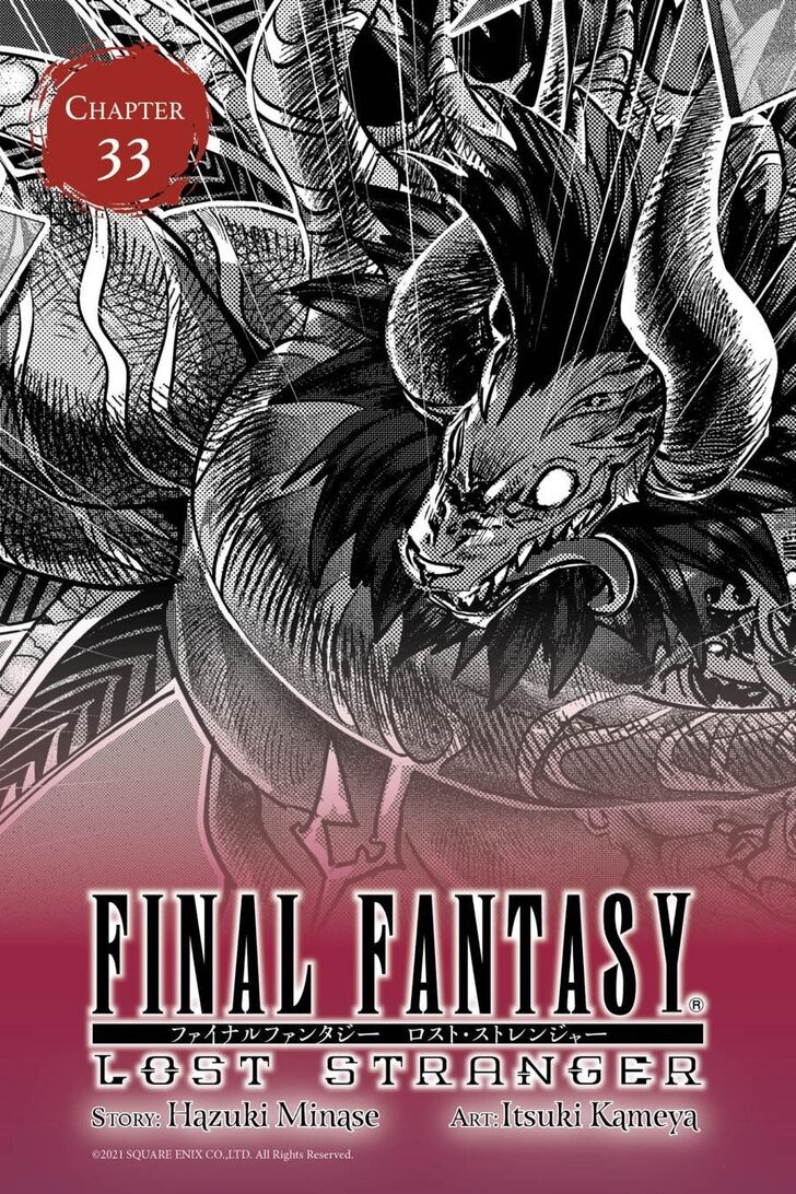 Final Fantasy: Lost Stranger Chapter 33 #2