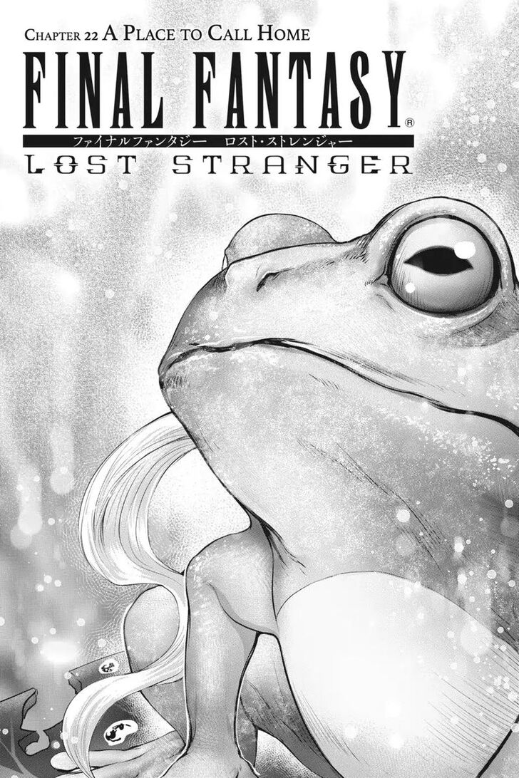 Final Fantasy: Lost Stranger Chapter 22 #2