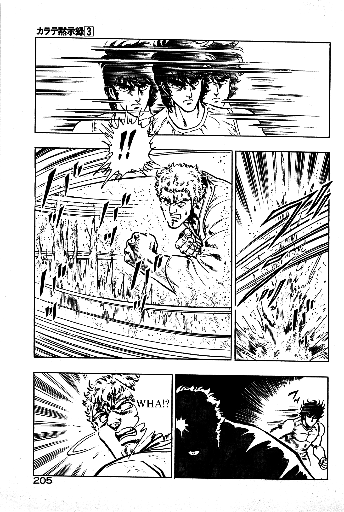 Karate Apocalypse Chapter 19 #15