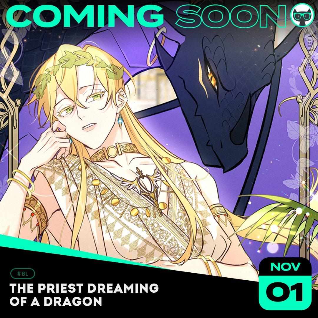 The Priest Dreaming Of A Dragon Chapter 8.5 #3