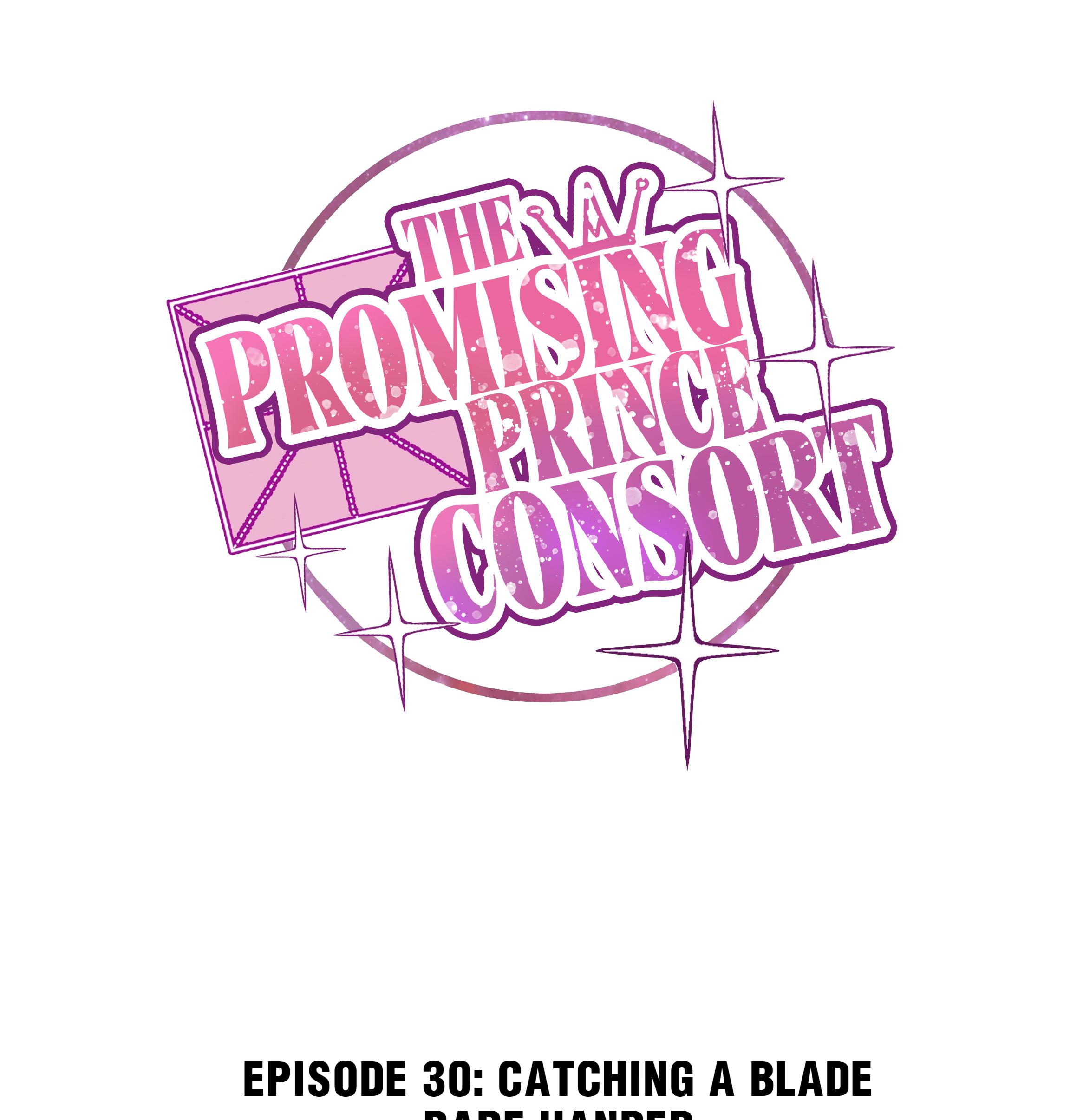 The Prince Consort Is Passing Chapter 30 #1