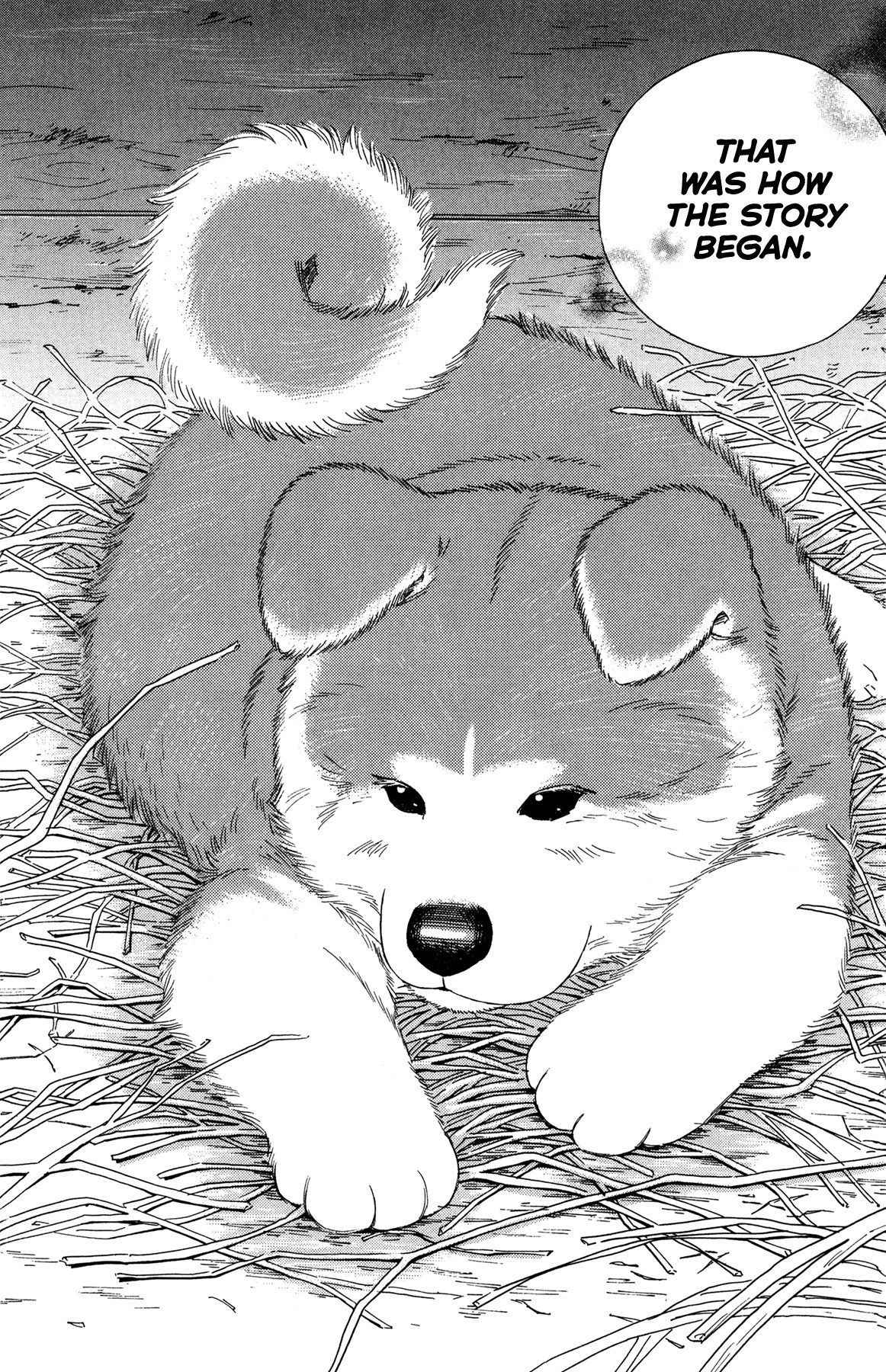 Hachi: A Dog's Tale Chapter 1 #9