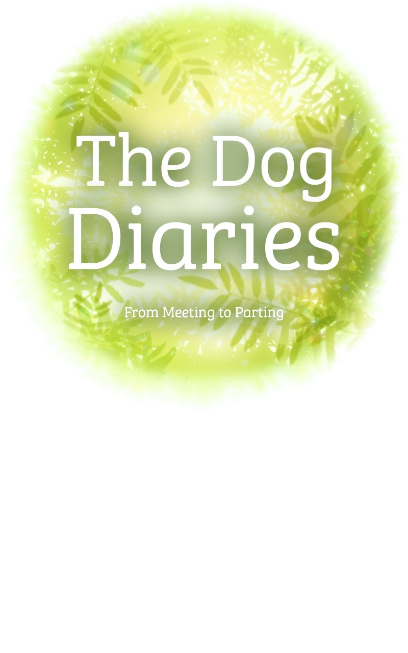 The Dog Diaries Chapter 116 #15