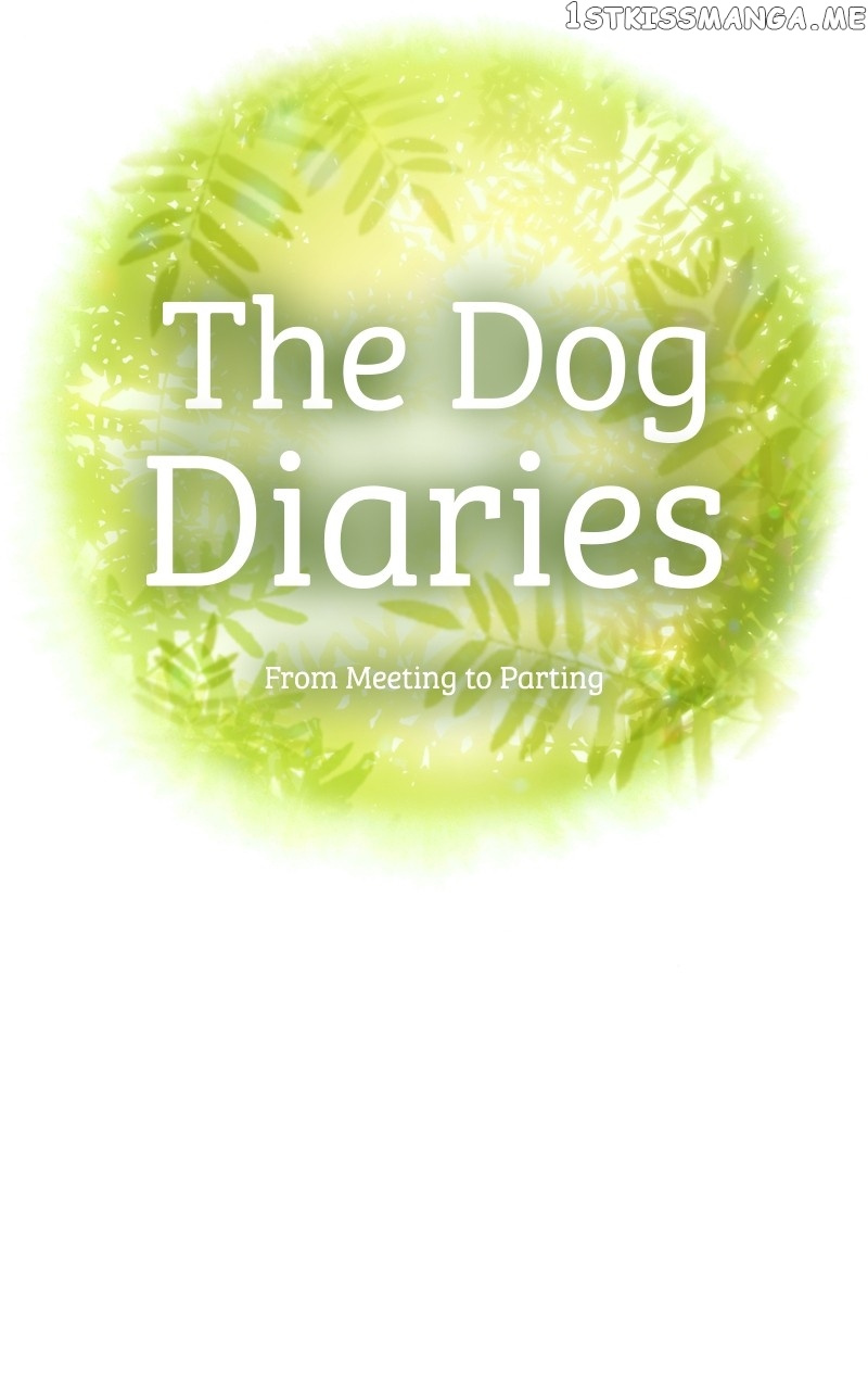 The Dog Diaries Chapter 105 #29