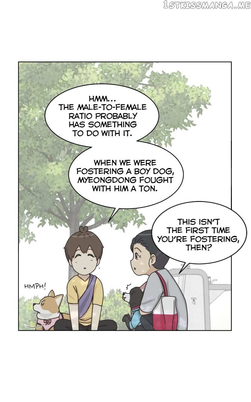 The Dog Diaries Chapter 99 #57